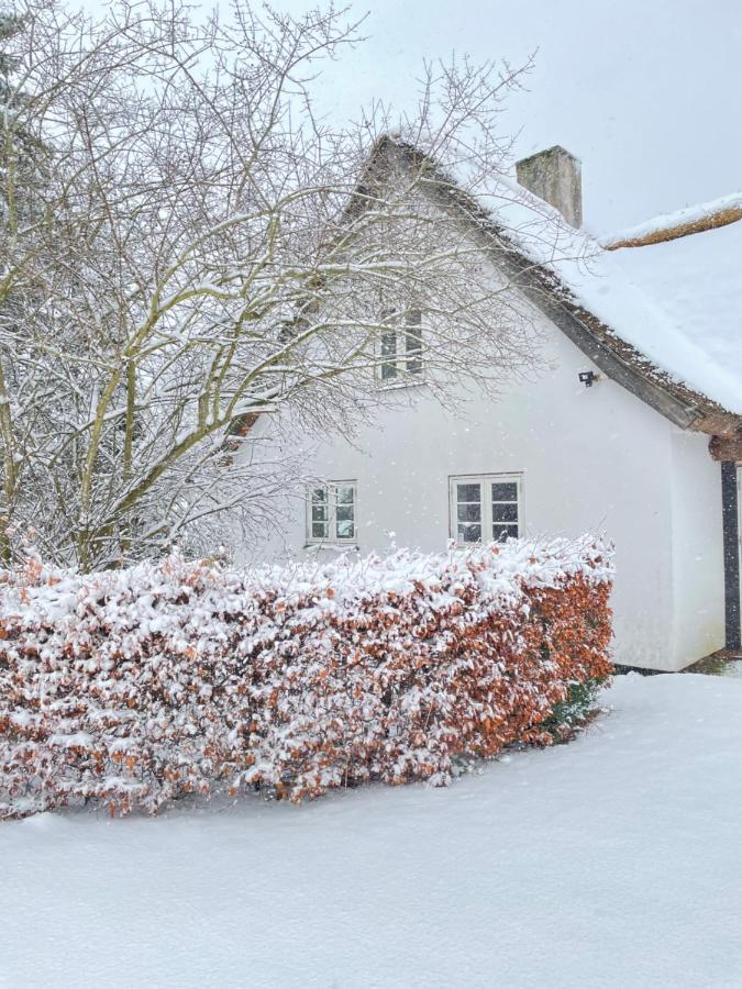 Apple Cottage Vejby Exterior photo