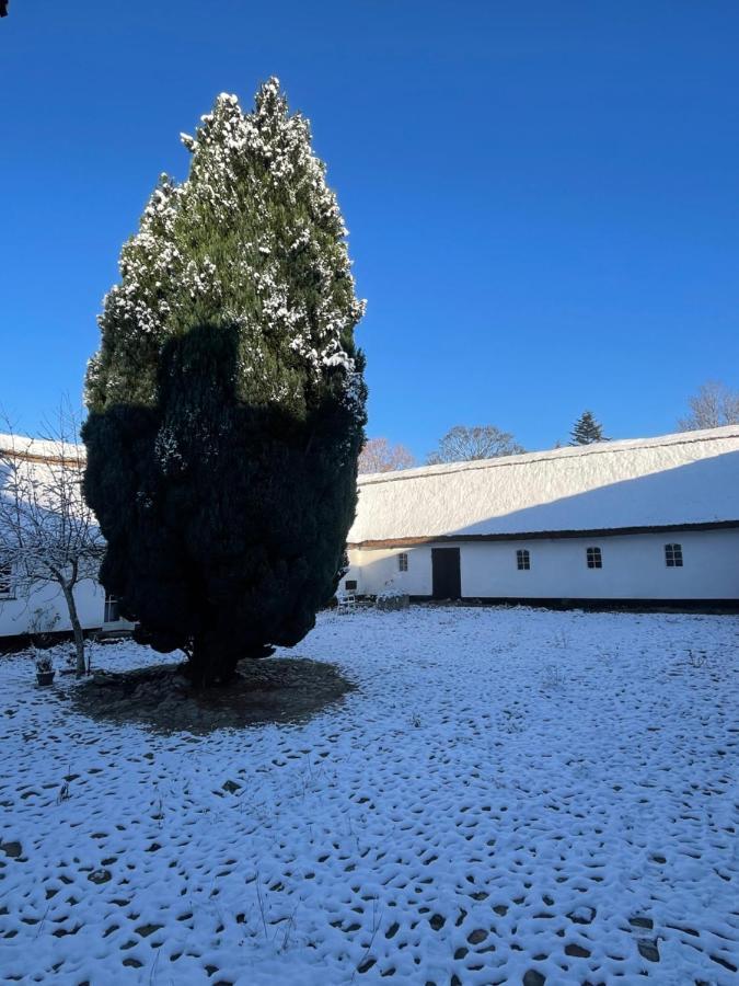 Apple Cottage Vejby Exterior photo