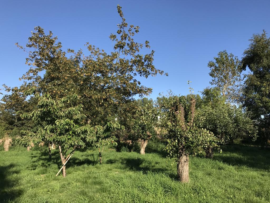 Apple Cottage Vejby Exterior photo