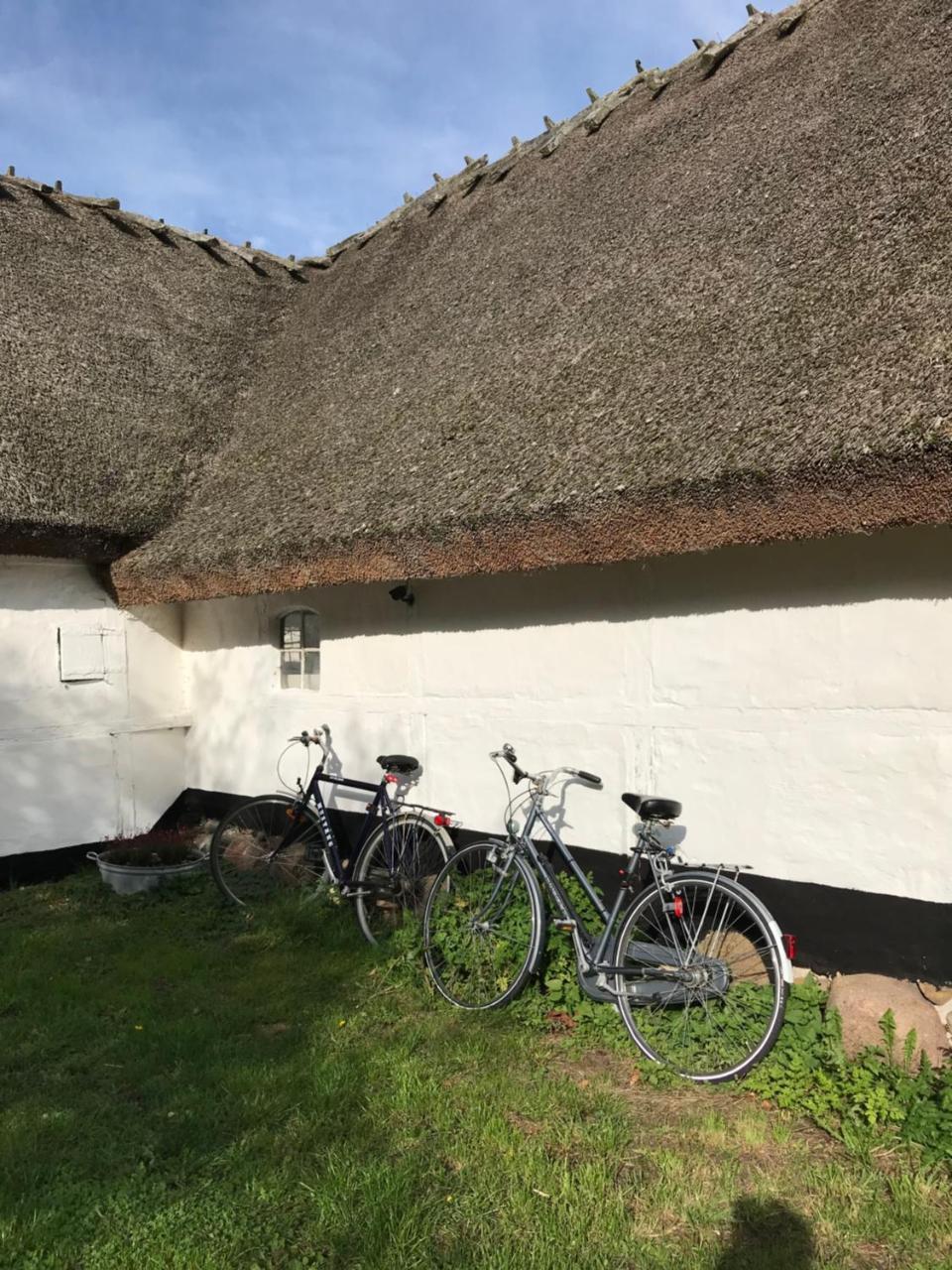 Apple Cottage Vejby Exterior photo